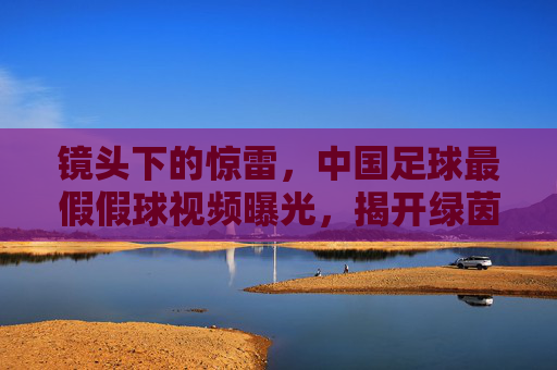 镜头下的惊雷,中国足球最假假球视频曝光,揭开绿茵场上的遮羞布