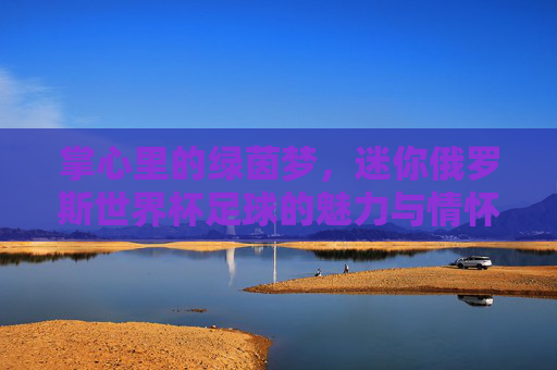 掌心里的绿茵梦,迷你俄罗斯世界杯足球的魅力与情怀