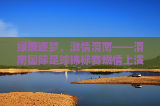 绿茵逐梦,激情渭南——渭南国际足球锦标赛燃情上演