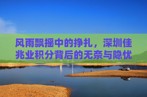 风雨飘摇中的挣扎,深圳佳兆业积分背后的无奈与隐忧