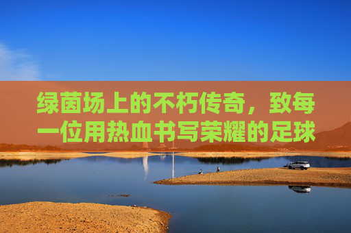 绿茵场上的不朽传奇,致每一位用热血书写荣耀的足球战士