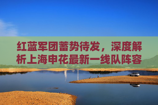 红蓝军团蓄势待发,深度解析上海申花最新一线队阵容名单