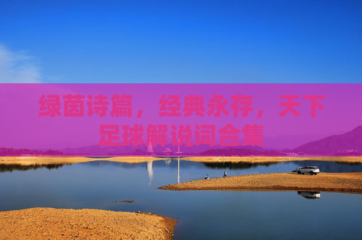 绿茵诗篇,经典永存,天下足球解说词合集