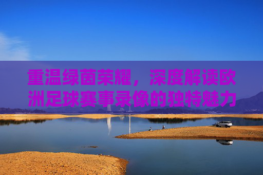 重温绿茵荣耀,深度解读欧洲足球赛事录像的独特魅力与价值