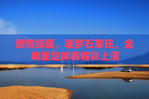 燃情绿茵,逐梦石家庄,全明星足球赛精彩上演