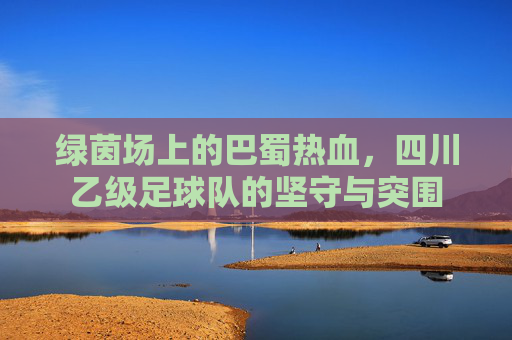 绿茵场上的巴蜀热血,四川乙级足球队的坚守与突围