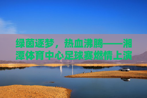 绿茵逐梦,热血沸腾——湘潭体育中心足球赛燃情上演
