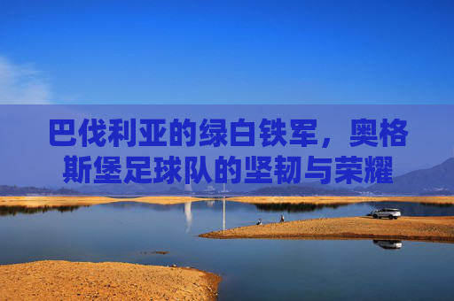 巴伐利亚的绿白铁军,奥格斯堡足球队的坚韧与荣耀