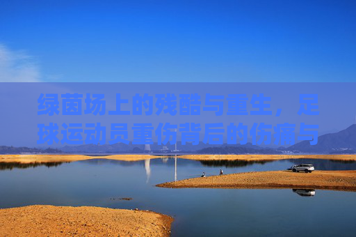 绿茵场上的残酷与重生,足球运动员重伤背后的伤痛与救赎