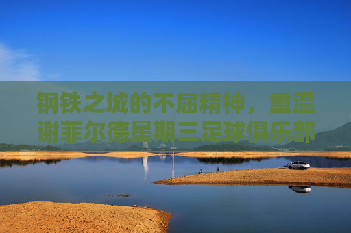 钢铁之城的不屈精神,重温谢菲尔德星期三足球俱乐部的辉煌与坚守