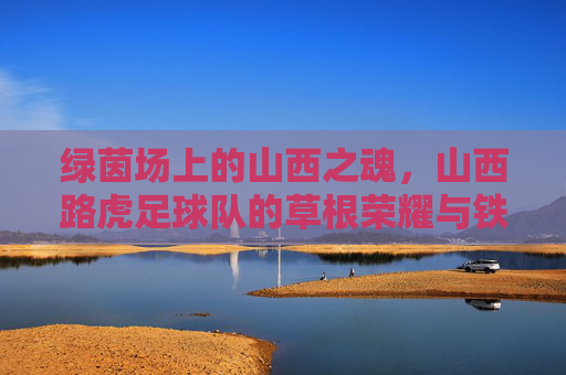 绿茵场上的山西之魂,山西路虎足球队的草根荣耀与铁血精神