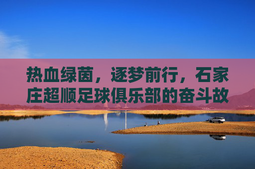 热血绿茵,逐梦前行,石家庄超顺足球俱乐部的奋斗故事