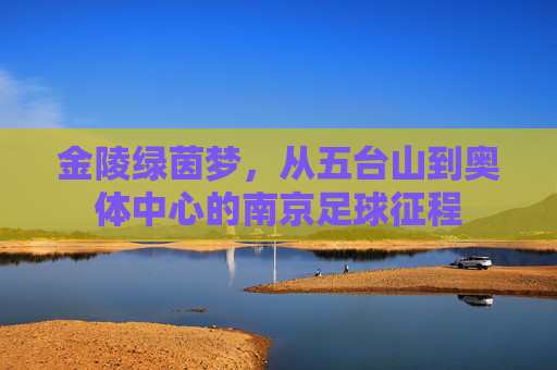 金陵绿茵梦,从五台山到奥体中心的南京足球征程