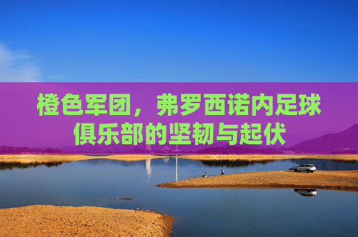 橙色军团,弗罗西诺内足球俱乐部的坚韧与起伏