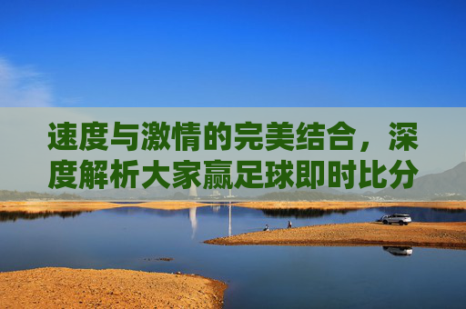速度与激情的完美结合，深度解析大家赢足球即时比分