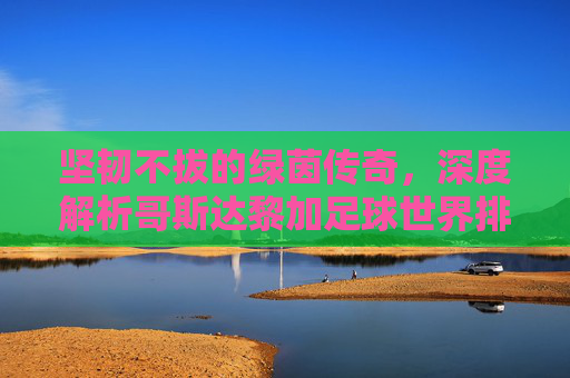 坚韧不拔的绿茵传奇，深度解析哥斯达黎加足球世界排名的起伏与荣耀