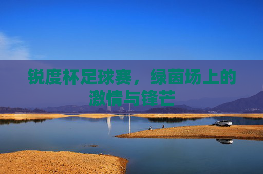 锐度杯足球赛,绿茵场上的激情与锋芒