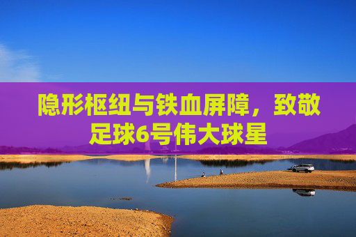 隐形枢纽与铁血屏障,致敬足球6号伟大球星