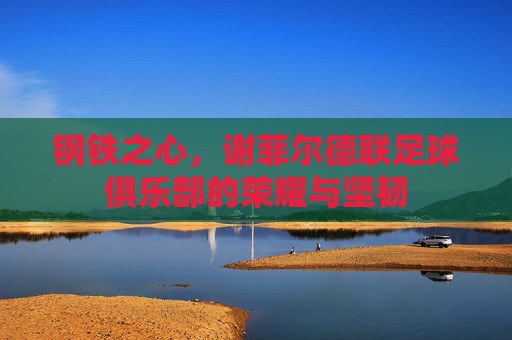 钢铁之心,谢菲尔德联足球俱乐部的荣耀与坚韧