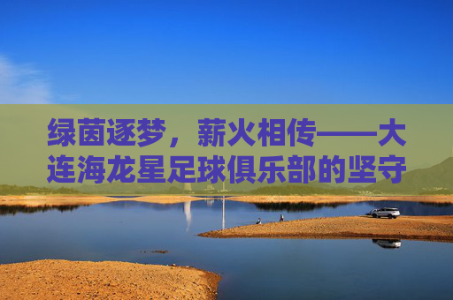 绿茵逐梦，薪火相传——大连海龙星足球俱乐部的坚守与荣光