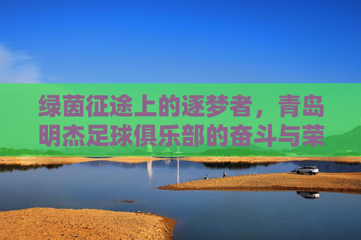 绿茵征途上的逐梦者，青岛明杰足球俱乐部的奋斗与荣耀