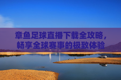 章鱼足球直播下载全攻略,畅享全球赛事的极致体验