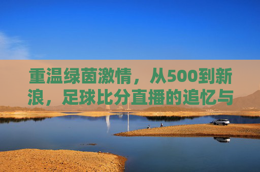 重温绿茵激情,从500到新浪,足球比分直播的追忆与指南