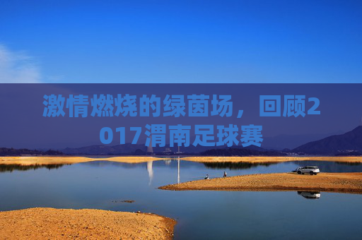 激情燃烧的绿茵场，回顾2017渭南足球赛