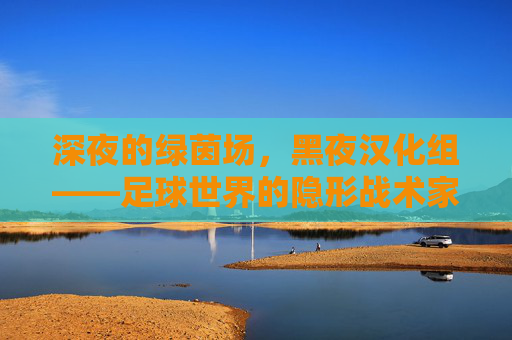 深夜的绿茵场,黑夜汉化组——足球世界的隐形战术家