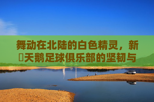 舞动在北陆的白色精灵,新潟天鹅足球俱乐部的坚韧与梦想