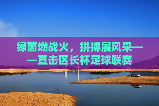 绿茵燃战火,拼搏展风采——直击区长杯足球联赛