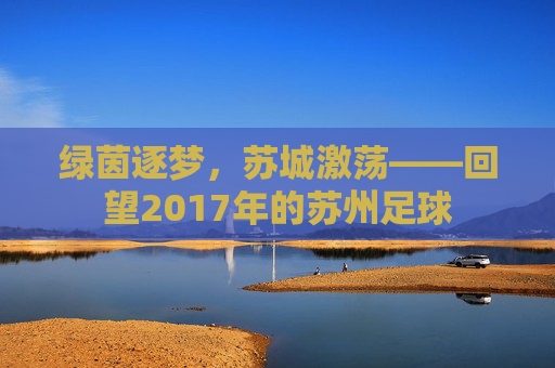 绿茵逐梦,苏城激荡——回望2017年的苏州足球