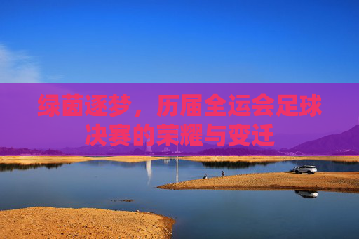 绿茵逐梦,历届全运会足球决赛的荣耀与变迁