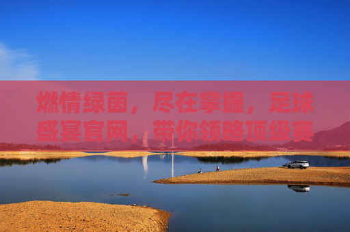 燃情绿茵,尽在掌握,足球盛宴官网,带你领略顶级赛事的无限魅力