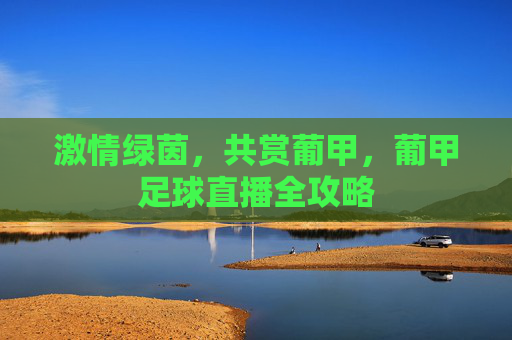 激情绿茵,共赏葡甲,葡甲足球直播全攻略