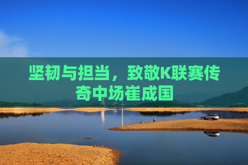 坚韧与担当,致敬K联赛传奇中场崔成国