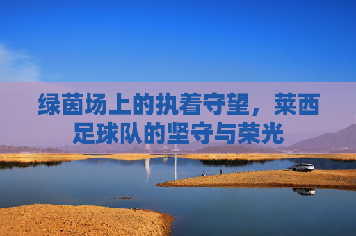 绿茵场上的执着守望,莱西足球队的坚守与荣光