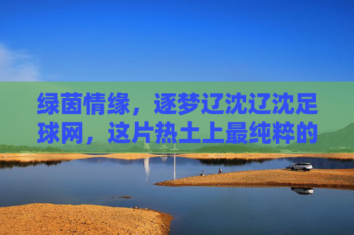 绿茵情缘,逐梦辽沈辽沈足球网,这片热土上最纯粹的足球声音