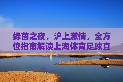 绿茵之夜,沪上激情,全方位指南解读上海体育足球直播