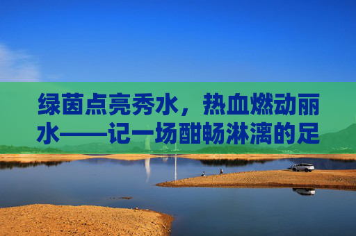 绿茵点亮秀水,热血燃动丽水——记一场酣畅淋漓的足球比赛