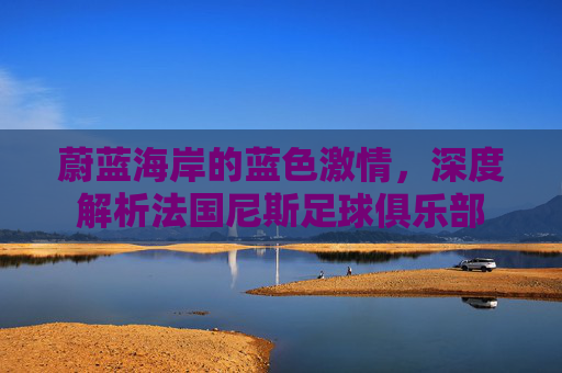 蔚蓝海岸的蓝色激情,深度解析法国尼斯足球俱乐部