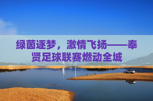 绿茵逐梦,激情飞扬——奉贤足球联赛燃动全城