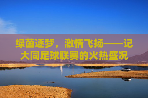绿茵逐梦,激情飞扬——记大同足球联赛的火热盛况