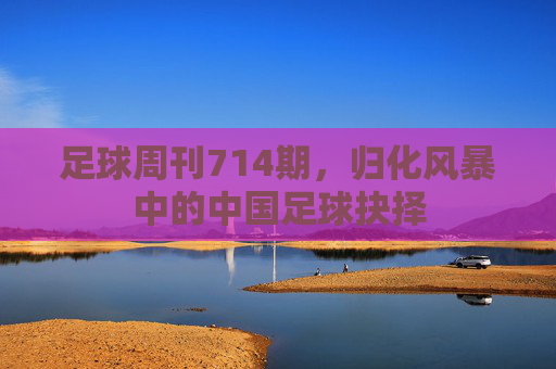 足球周刊714期,归化风暴中的中国足球抉择