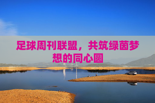 足球周刊联盟,共筑绿茵梦想的同心圆