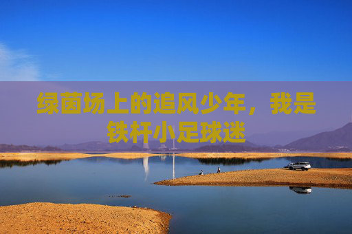 绿茵场上的追风少年,我是铁杆小足球迷