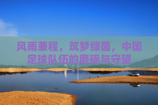风雨兼程,筑梦绿茵,中国足球队伍的磨砺与守望