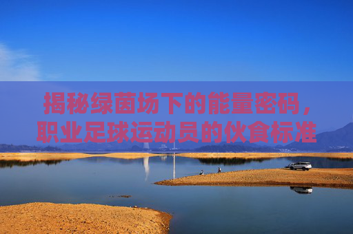 揭秘绿茵场下的能量密码,职业足球运动员的伙食标准