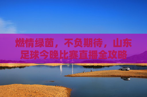 燃情绿茵,不负期待,山东足球今晚比赛直播全攻略