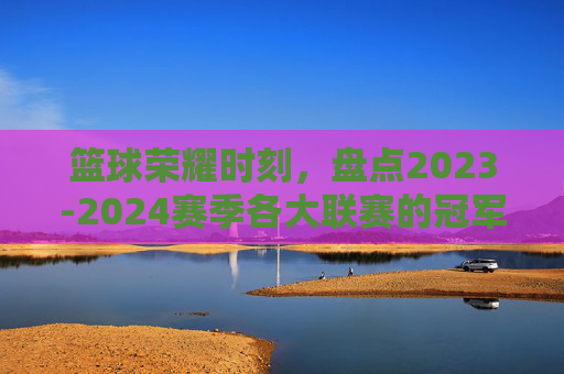 篮球荣耀时刻,盘点2023-2024赛季各大联赛的冠军归属